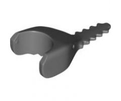 Animal, Body Part Shark Head Sawfish