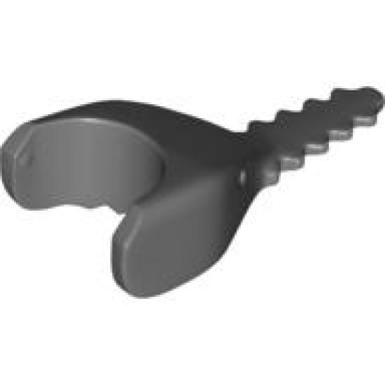 Animal, Body Part Shark Head Sawfish