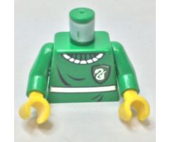 Torso Harry Potter Quidditch Slytherin Pattern / Green Arms / Yellow Hands