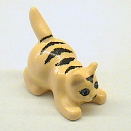 Cat, Crouching with Black Eyes, Nose and Stripes Pattern