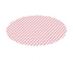 String & Net Lattice 10 x 10 Circle