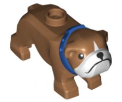 Dog, Bulldog with White Muzzle and Blue Collar Pattern