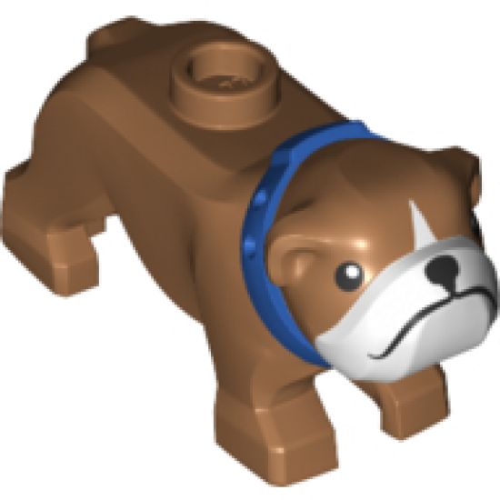 Dog, Bulldog with White Muzzle and Blue Collar Pattern