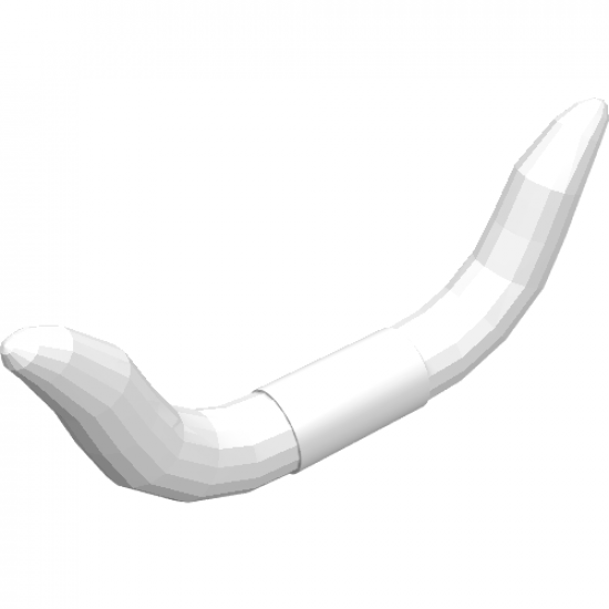 Animal, Body Part Cattle Horns