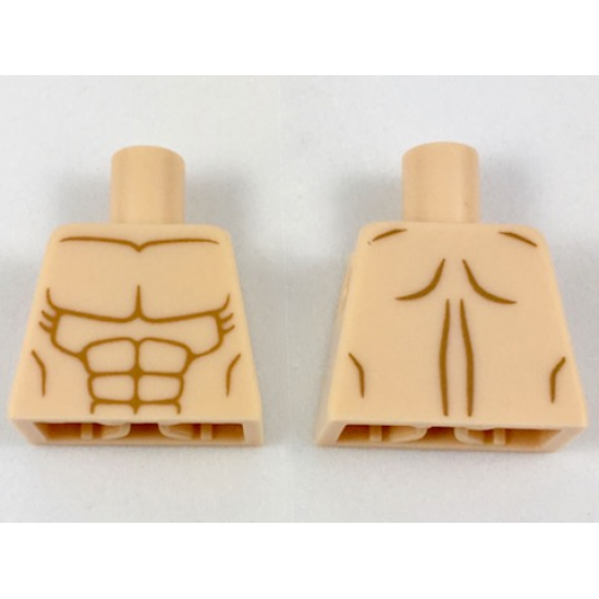 Torso Bare Chest with Muscles Outline Pattern