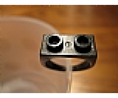 Scala Ring with 1 x 2 Plate - Size Large