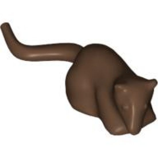 Rat