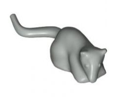 Rat
