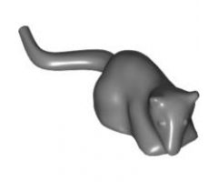 Rat