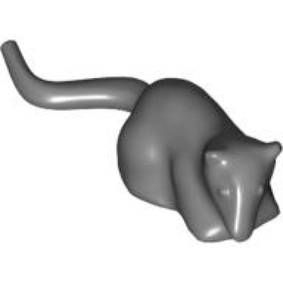 Rat
