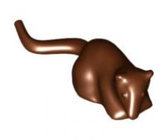 Rat