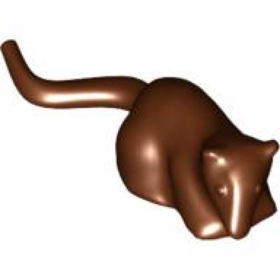 Rat