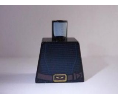 Torso SW Female Blue Stripes with Belt Pattern