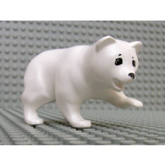 Bear, Belville / Scala