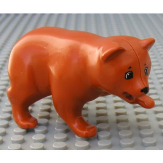 Bear, Belville / Scala