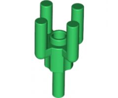 Plant, Tree Palm Top