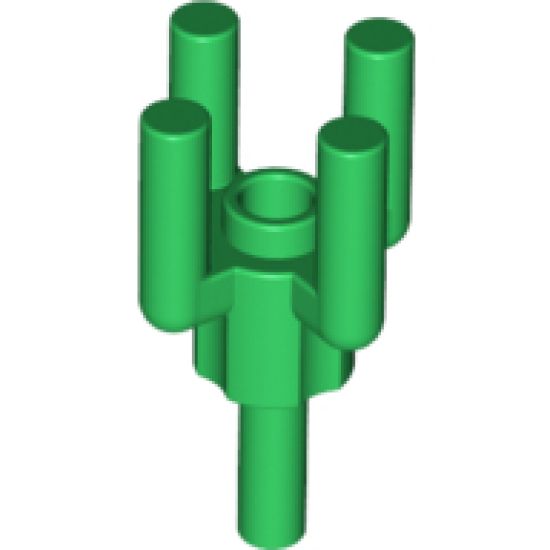 Plant, Tree Palm Top