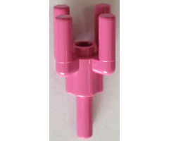 Plant, Tree Palm Top