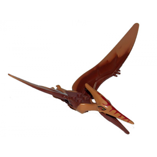 Animal, Dinosaur Pteranodon with Reddish Brown Back