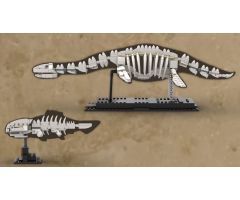 Alternative Fossils of a Plesiosaurus and an armoured Fish for the set: 21320 Dinosaur Fossils