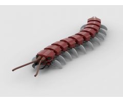 Centipede