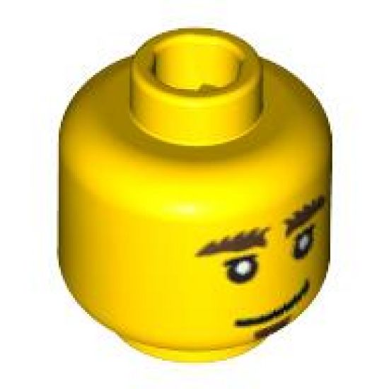 Minifigure, Head Dual Sided Bushy Eyebrows and Goatee / Worried Pattern - Blocked Open Stud