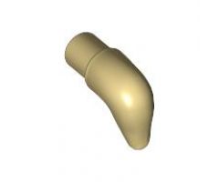 Animal, Body Part Cattle Horn, Short