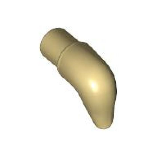 Animal, Body Part Cattle Horn, Short