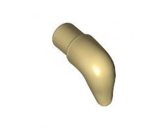 Animal, Body Part Cattle Horn, Short