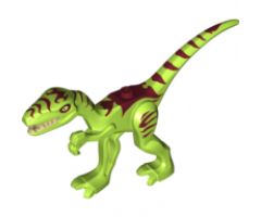 Animal, Dinosaur Coelophysis / Gallimimus with Dark Red Stripes and White Eyes Pattern