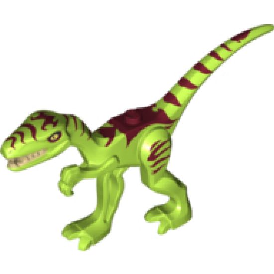 Animal, Dinosaur Coelophysis / Gallimimus with Dark Red Stripes and White Eyes Pattern