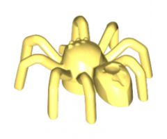 Spider with Elongated Abdomen