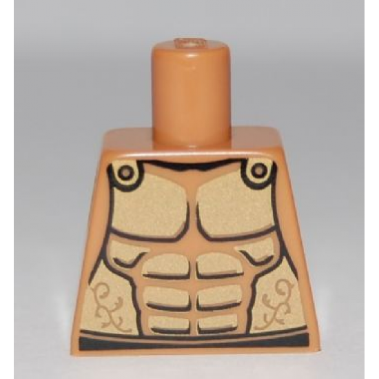 Torso Armor with Gold Plated Muscles Outline Pattern (Spartan)