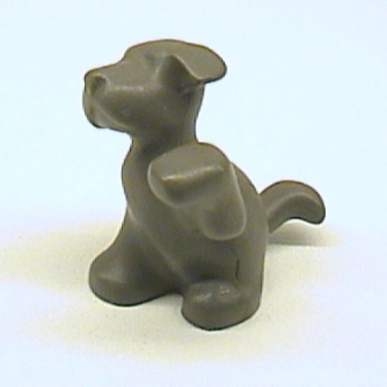 Dog, Belville, Sitting with Raised Paw