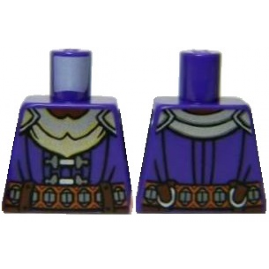 Torso LotR Armor with Silver Chest Plate, Buckles, and Belt Pattern