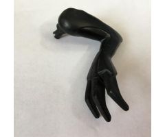 Animal, Body Part Dinosaur Limb Small Raptor Arm / Pteranodon Leg with Claws Left