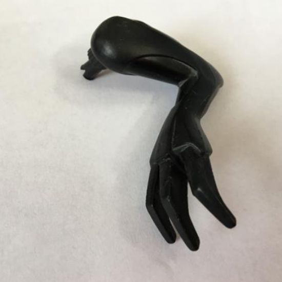 Animal, Body Part Dinosaur Limb Small Raptor Arm / Pteranodon Leg with Claws Left