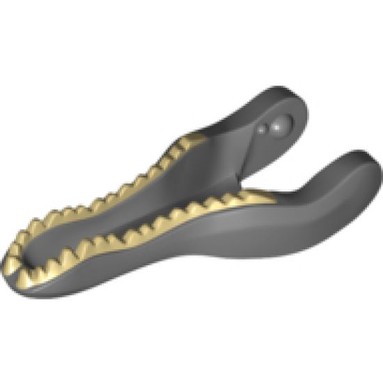 Animal, Body Part Dinosaur Jaw Lower Baryonyx with Tan Teeth Pattern