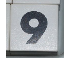 Duplo, Tile 2 x 2 x 1 with Black Number 9 Pattern