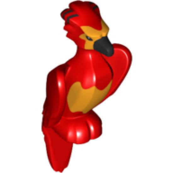 Animal, Air Phoenix, Harry Potter with Black Beak, Bright Light Orange Face and Chest Pattern