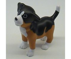 Dog, Scala, Puppy with Black Back and White Chest, Feet and Muzzle Pattern (Sniff)