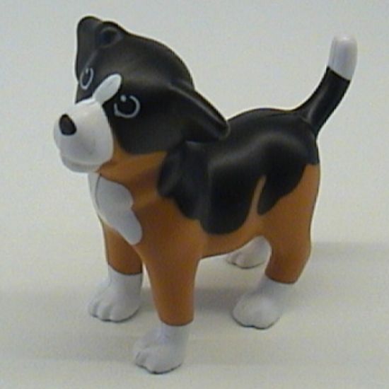 Dog, Scala, Puppy with Black Back and White Chest, Feet and Muzzle Pattern (Sniff)
