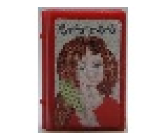 Minifigure, Utensil Book 2 x 3 with Girl and Hairbrush Pattern (Stickers) - Sets 3114 / 3211 / 3242