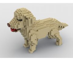 Retriever