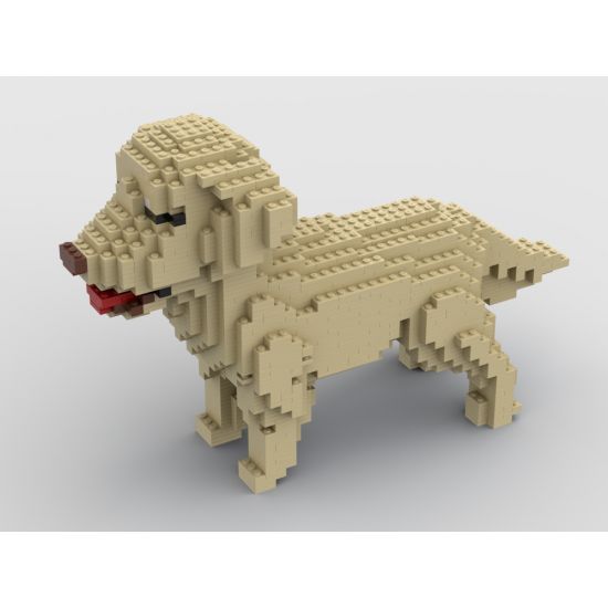 Retriever