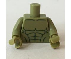 Torso Bare Chest with Dark Green Muscles Outline Pattern (Hulk) / Olive Green Arms / Olive Green Hands