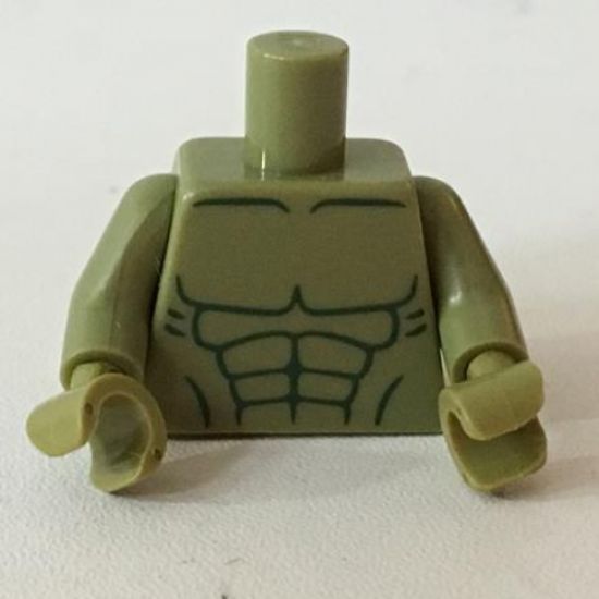Torso Bare Chest with Dark Green Muscles Outline Pattern (Hulk) / Olive Green Arms / Olive Green Hands