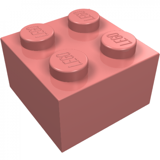 Brick 2 x 2
