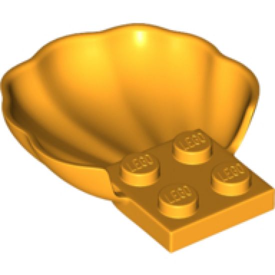 Animal, Body Part Clam / Scallop Shell with 4 Studs