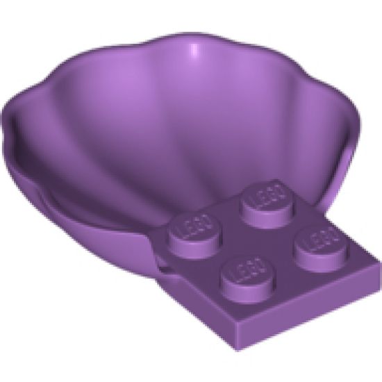 Animal, Body Part Clam / Scallop Shell with 4 Studs